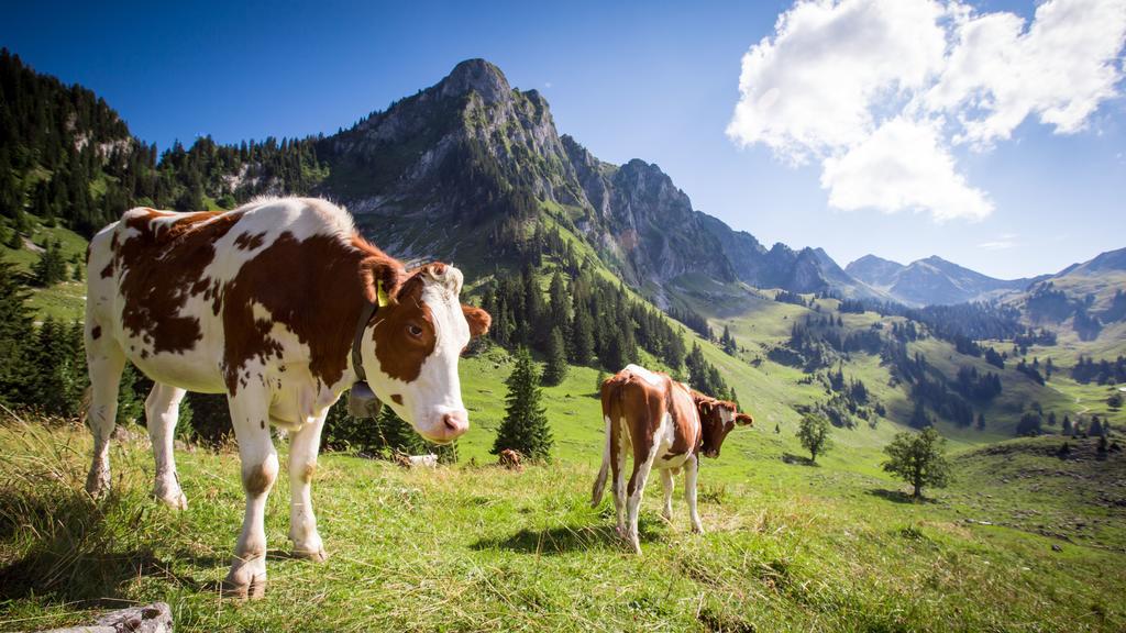 Hostellerie Am Schwarzsee Bad-Schwarzsee Kültér fotó
