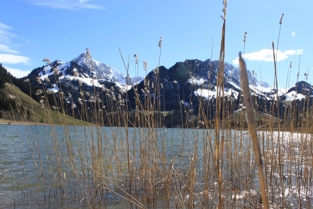 Hostellerie Am Schwarzsee Bad-Schwarzsee Kültér fotó